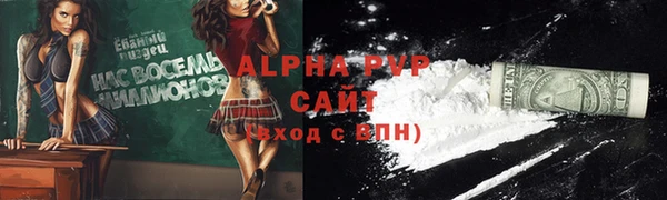 СК Волосово