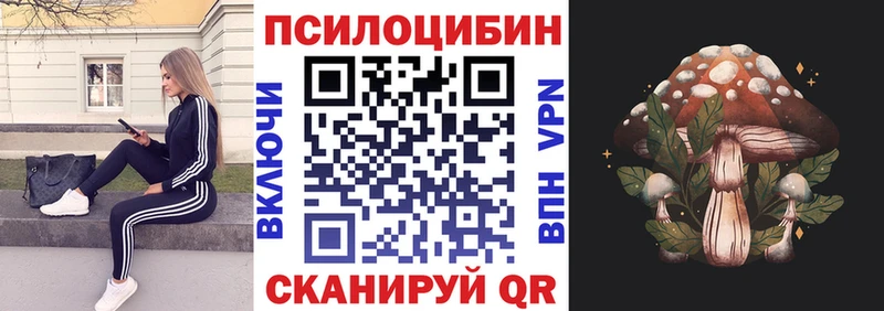 Купить закладки  Цоци-Юрт  Псилоцибиновые грибы Magic Shrooms 